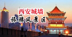 美女和日逼中国陕西-西安城墙旅游风景区